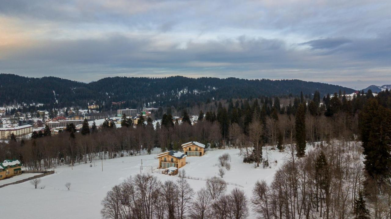 Villa By Sunexpress Bakuriani Exteriör bild